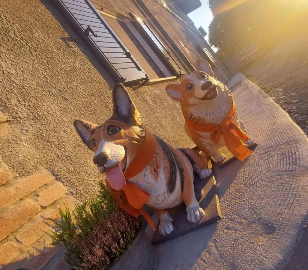 La Tana Dei Corgi Panzió Moncrivello Kültér fotó